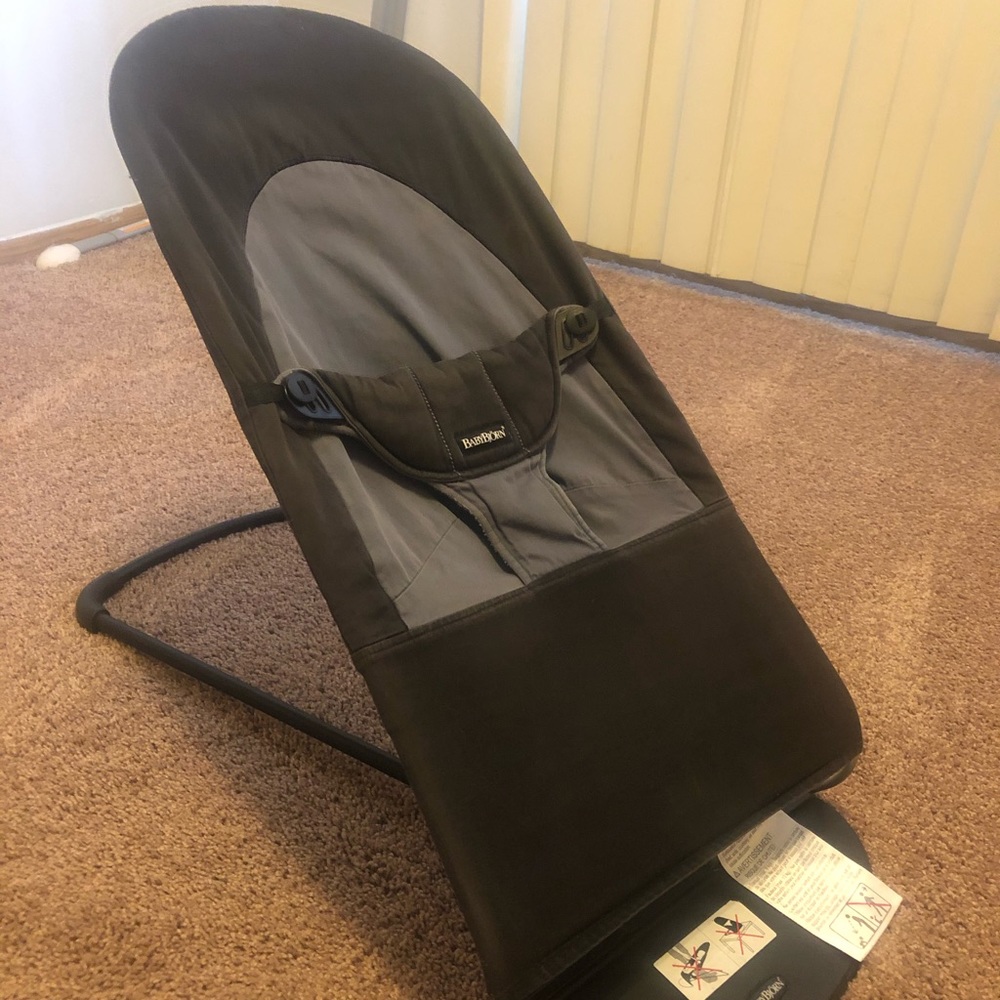Baby bjorn bouncer